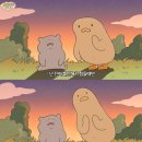 유림-21 이미지