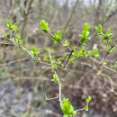 한국지엠해남지정서비스 | 🌿 5월의 싱그러움, 하동·남해로 떠나는 '반값 여행' 꿀팁 대방출! ✨