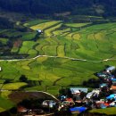 비지1리 이미지