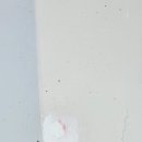 고려페인트