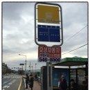 유성구청 버스정류장 이미지