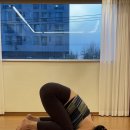 아사나요가 Daum카페