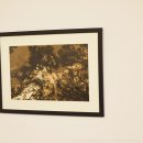 리빙월드 이미지