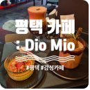 평택1로 | [경기] 평택 힙한 감성 카페 : DioMio (디오미오)