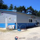 정선아리귀뚜라미농장 이미지