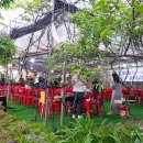 배나무집 이미지