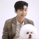 웰메드 네이버블로그