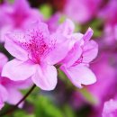 순천시청(민원실) 이미지