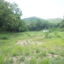 내가면-1 이미지