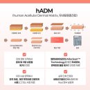 닥터스피부과의원 | 닥터스피부과의원 잠실송파점 리투오 효과와 부작용, 안정성에 대한 토론 후기