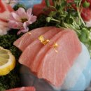 금도참치 이미지