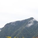 저산목장 | 동강전망자연휴양림.. 캠핑