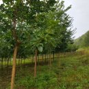 정량2농장 이미지