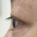 정선읍 행정복지센터  정문 옆 | 속눈썹펌 망한 적 있다면 여기 보세요 봉담속눈썹(서히룸 후기)