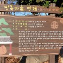 당목마을 당제 이미지