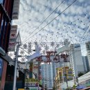 센텀메디의원 이미지