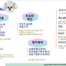 그린메드 이미지