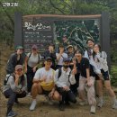 고앤고짐 이미지