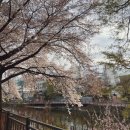 우이천가로공원 이미지