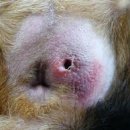 에코동물병원 이미지