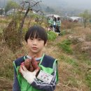 준상농장 Daum카페