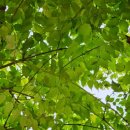 찬우물근린공원 이미지