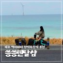 제주 액티비티 추천ㅣ월정리 바다 따라 달리는 쓩쓩렌탈샵 전기자전거 후기