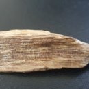 인한의원 이미지