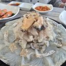 갈매기회센타 이미지