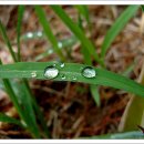 풀잎마을 이미지