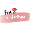 평화어린이집 이미지