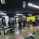 머슬앤라인 이미지