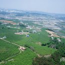 박달재농원 | 평택사람들의 길 <4. 고개, 민중들의 애환이 서린 삶의 현장> - 21