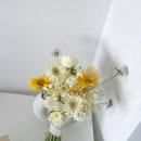 유토피스트 - 16628 | 유토피스트