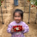 선민농장 이미지