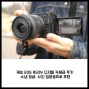 디지털 사진 | 캐논 EOS R50V 디지털 카메라 후기 : 스냅 영상, 사진 입문용으로 추천