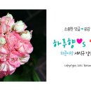 두창정미소 - 성남시 수정구 수정북로35번길 1 | 두창정미소