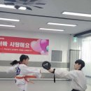국가대표청룡태권도장 | 경기도 화성시 국가대표 청룡 태권도장, 후기, 연락처, 영업시간