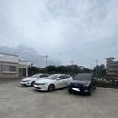 돌담땅콩국수 | 제주 ‘돌담 땅콩국수’ 후기