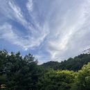 스텔라 펜션 이미지