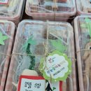 일성유치원 이미지