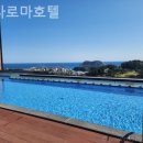 까사인 제주 | [제주도/호텔] 까사로마호텔 SNS에서 핫한 제주 숙소 다녀온 후기