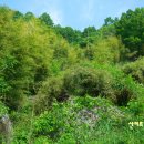 법전2리마을회관 이미지