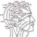 머리의 혈자리 이미지