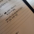 시스터필드서호점 | [제주 서귀포] 먹기만 하는 뚜벅이 여행(2)