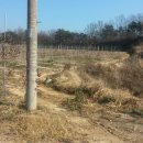 사과나무부동산중개사무소 이미지