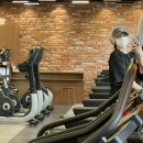 댕냥이 미용소 이미지