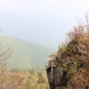 왕소나무집 이미지