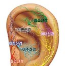경희5편안한의원 이미지