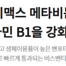 메타비